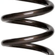 Load image into Gallery viewer, Landrum Springs 10in Coil Over Spring 10VB250