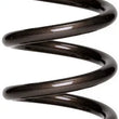 Load image into Gallery viewer, Landrum Springs 14in Coil Over Springs 14VB225