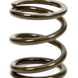 Load image into Gallery viewer, Landrum Springs 4in Coil Over Spring 4VB500