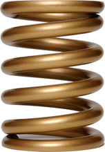 Load image into Gallery viewer, Landrum Springs Pull Bar Spring 5in OD x 7in Long G600