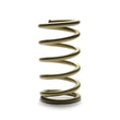 Load image into Gallery viewer, Landrum Springs Spring Rear 5in Dia x 15in 100lbs K15-100
