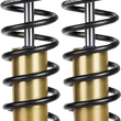 Load image into Gallery viewer, Legend Suspension REVO-A Adjustable Dyna Coil Suspension - Gold - Heavy-Duty - 12" 13101781 - Main Product View