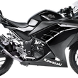 Load image into Gallery viewer, LeoVince LV-10 Black Edition Muffler - Ninja 300 15205BU - Main Product View
