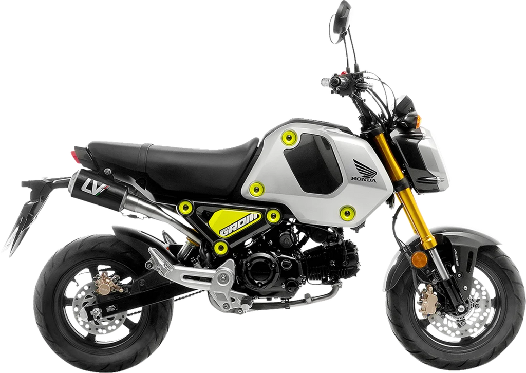 LeoVince LV-10 Exhaust - Carbon Fiber 15253CU - Main Product View