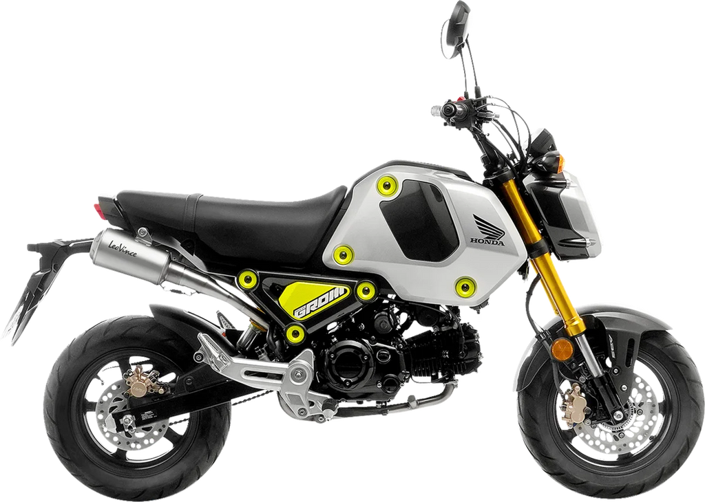 LeoVince LV-10 Exhaust - Stainless Steel 15253U - Main Product View