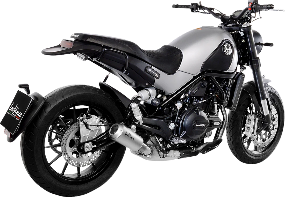 LeoVince LV-10 Slip-On Muffler - Stainless Steel 15226 - Installation View