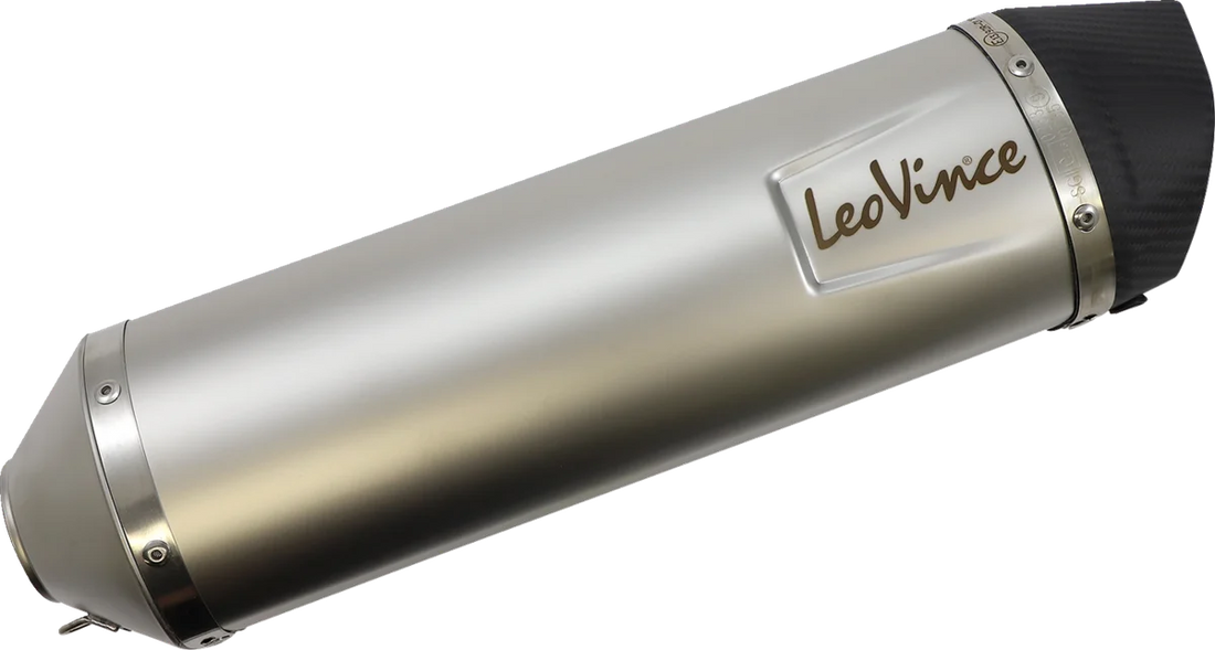 LeoVince LV One EVO Slip-On Muffler - BMW 800 - Stainless Steel 14356EU - Back View