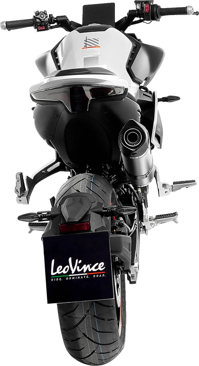 LeoVince LV One EVO Slip-On Muffler - Silver 14444EU - Back View