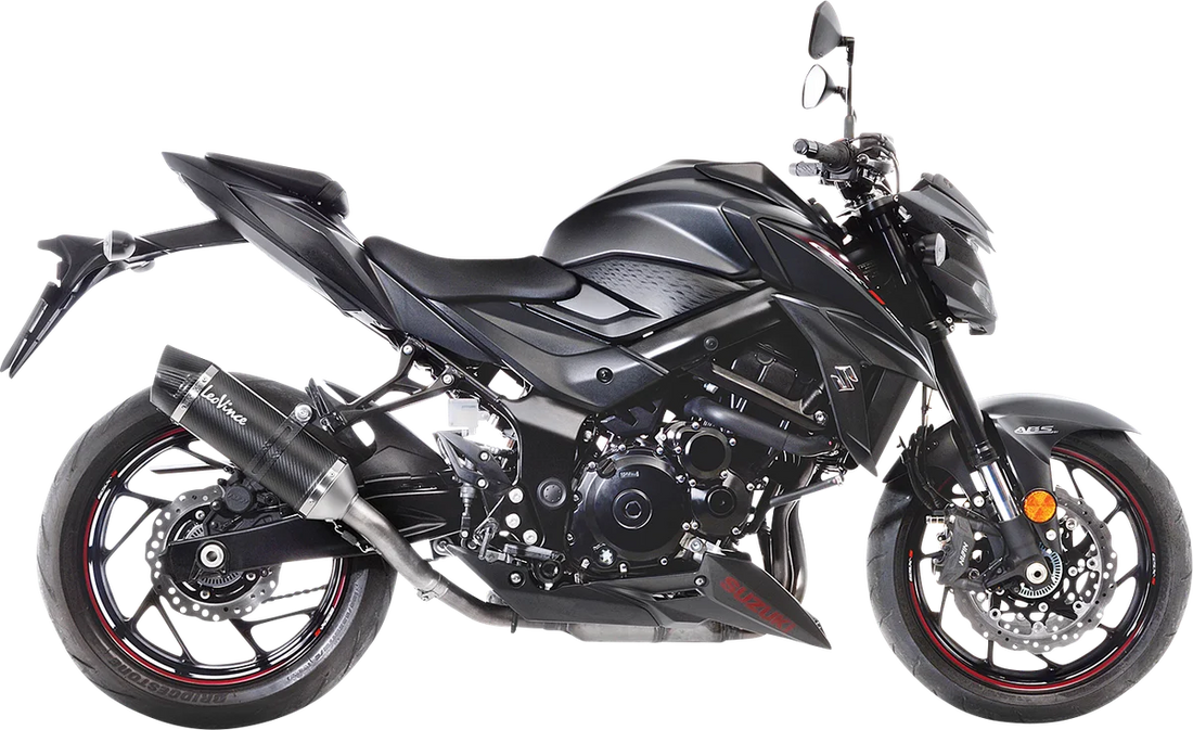 LeoVince LV One Evo Slip-On Muffler - Carbon Fiber 14176EU - Back View