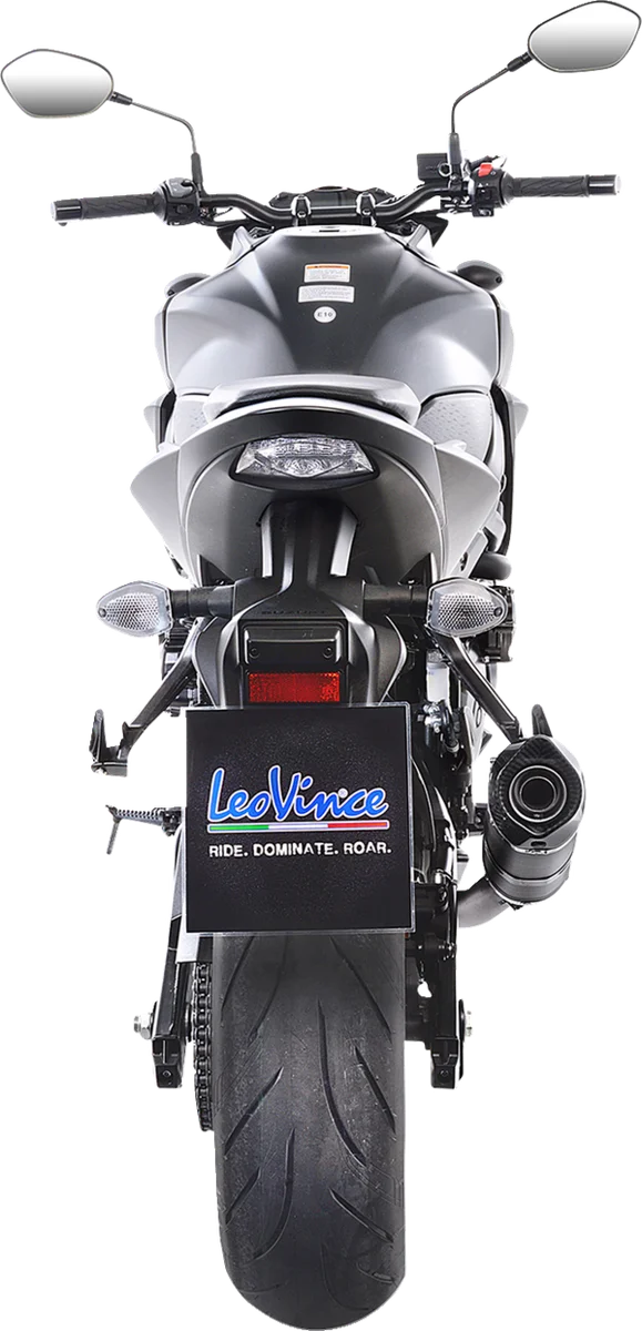 LeoVince LV One Evo Slip-On Muffler - Carbon Fiber 14176EU - Installation View