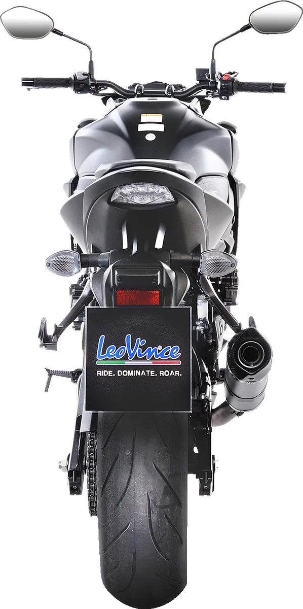 LeoVince LV One Evo Slip-On Muffler - Stainless Steel 14175EU - Installation View