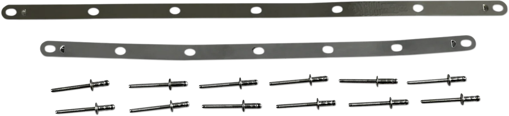 LeoVince Strap and Rivet Kit - Factory R 088421022R - Main Product View