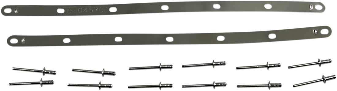 LeoVince Strap and Rivet Kit - Factory R 088421022R - Side View