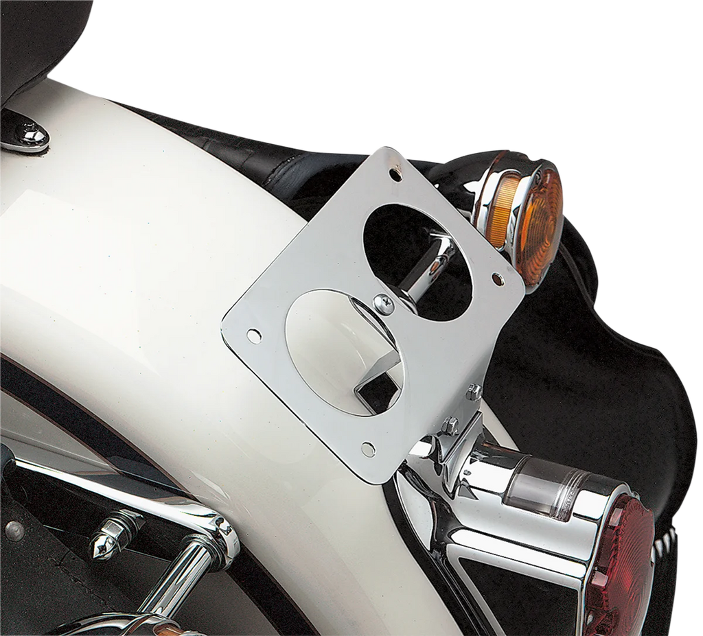 License Plate Mount DragSpecialties 720133 - Side View
