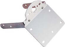 Load image into Gallery viewer, License Plate/Taillight Bracket DragSpecialties 72493 - Main Product View