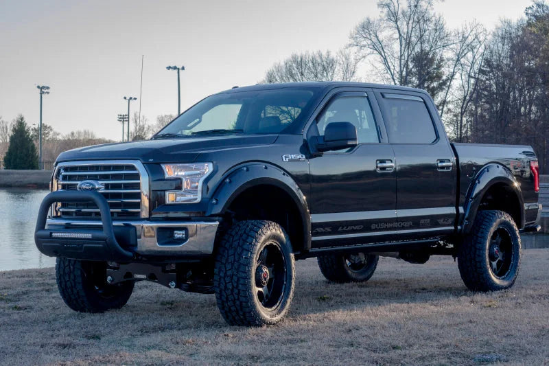 Lund 04-18 Ford F-150 (Excl. Heritage) Bull Bar w/Light & Wiring - Black - Back View