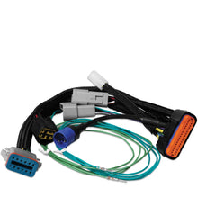 Load image into Gallery viewer, MSD Harness Adapter for PN 7730 to Digital-7 Programmable 12 pin harness.