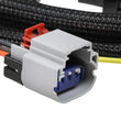 Load image into Gallery viewer, MSD Harness for 6-Hemi Ignition Controller Early Model 88863 - Back View