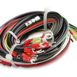 Load image into Gallery viewer, MSD MSD 7AL-3 Ignition Control 7330 - Additional View 11