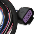 Load image into Gallery viewer, MSD MSD DIS Direct Ignition System Control Box - Black 60153MSD - Back View