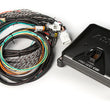 Load image into Gallery viewer, MSD MSD PRO 600 CDI Ignition and Coil Kit - Red Coils 8000-8HO - Back View