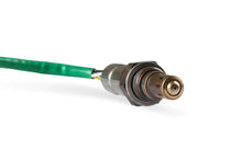 Load image into Gallery viewer, MSD MSD Power Grid Dual NTK Wide Band O2 Module 7766 - Additional View 7