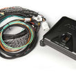 Load image into Gallery viewer, MSD PRO 600 CDI Ignition and Coil Kit - Black Coils 80003-8HO - Side View