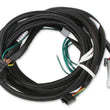 Load image into Gallery viewer, MSD Replacement Harness To Connect To EFI Systems fits LS Engines - Main Product View