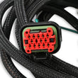 Load image into Gallery viewer, MSD Replacement Harness To Connect To EFI Systems fits LS Engines - Back View