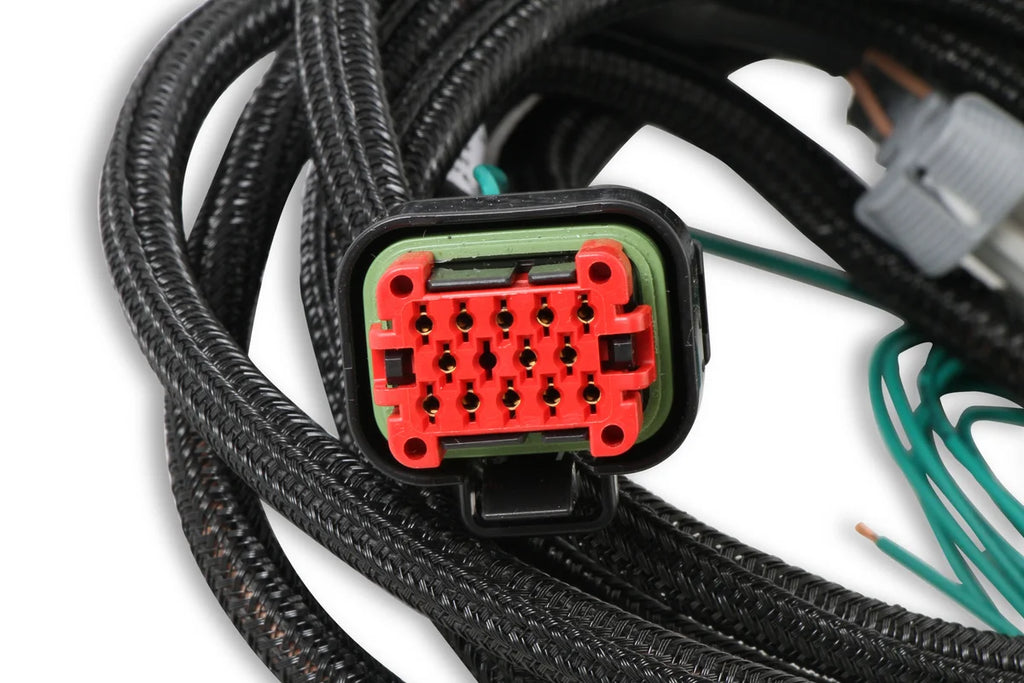 MSD Replacement Harness To Connect To EFI Systems fits LS Engines - Back View