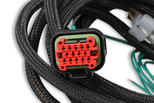 Load image into Gallery viewer, MSD Replacement Harness To Connect To EFI Systems fits LS Engines - Back View