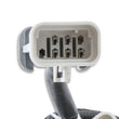 Load image into Gallery viewer, MSD Replacement Harness To Connect To EFI Systems fits LS Engines - Installation View