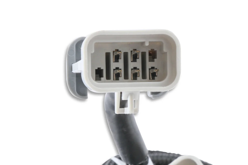 MSD Replacement Harness To Connect To EFI Systems fits LS Engines - Installation View