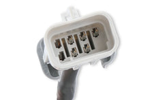 Load image into Gallery viewer, MSD Replacement Harness To Connect To EFI Systems fits LS Engines - Additional View 5