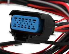 Load image into Gallery viewer, MSD Replacement Harness for PN 6201/62013, Digital 6A and PN 6425/64253 Digital 6A-L - Side View