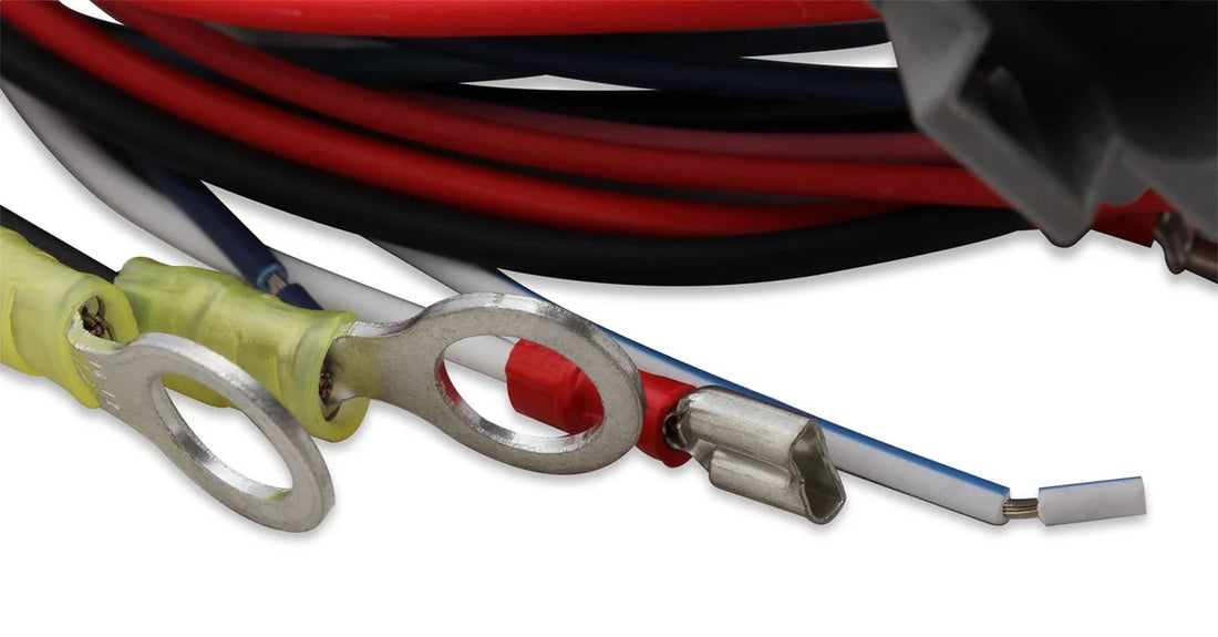 MSD Replacement Harness for PN 6530 or PN 65303 Programmable 6AL-2 8892 - Back View