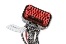 Load image into Gallery viewer, MSD Replacement Main Harness To Ignition Coil 80001 - Back View