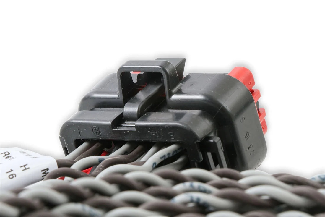 MSD Replacement Main Harness To Ignition Coil 80001 - Installation View