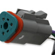 Load image into Gallery viewer, MSD Replacement Shielded Mag Cable for PN 7730, 6-Feet - Side View
