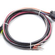 Load image into Gallery viewer, MSD Replacement Wire Harness 6201 &amp; 6425 Ignition Box MSD29774