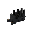 Load image into Gallery viewer, MSD Street Fire Ignition Coil Pack, 6-Tower DIS Style, Black fits 2001-2004 Ford - Main Product View