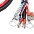 Load image into Gallery viewer, MSD Universal - Tune Ignition Curve or Boost Timing Map from PC 6530 - Additional View 9