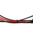 Load image into Gallery viewer, MSD Universal - Tune Ignition Curve or Boost Timing Map from PC 6530 - Additional View 12