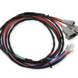 Load image into Gallery viewer, MSD Universal - Tune Ignition Curve or Boost Timing Map from PC - Additional View 6