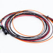 Load image into Gallery viewer, MSD Wiring Harness ASY17296