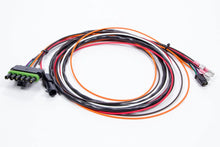 Load image into Gallery viewer, MSD Wiring Harness ASY17296