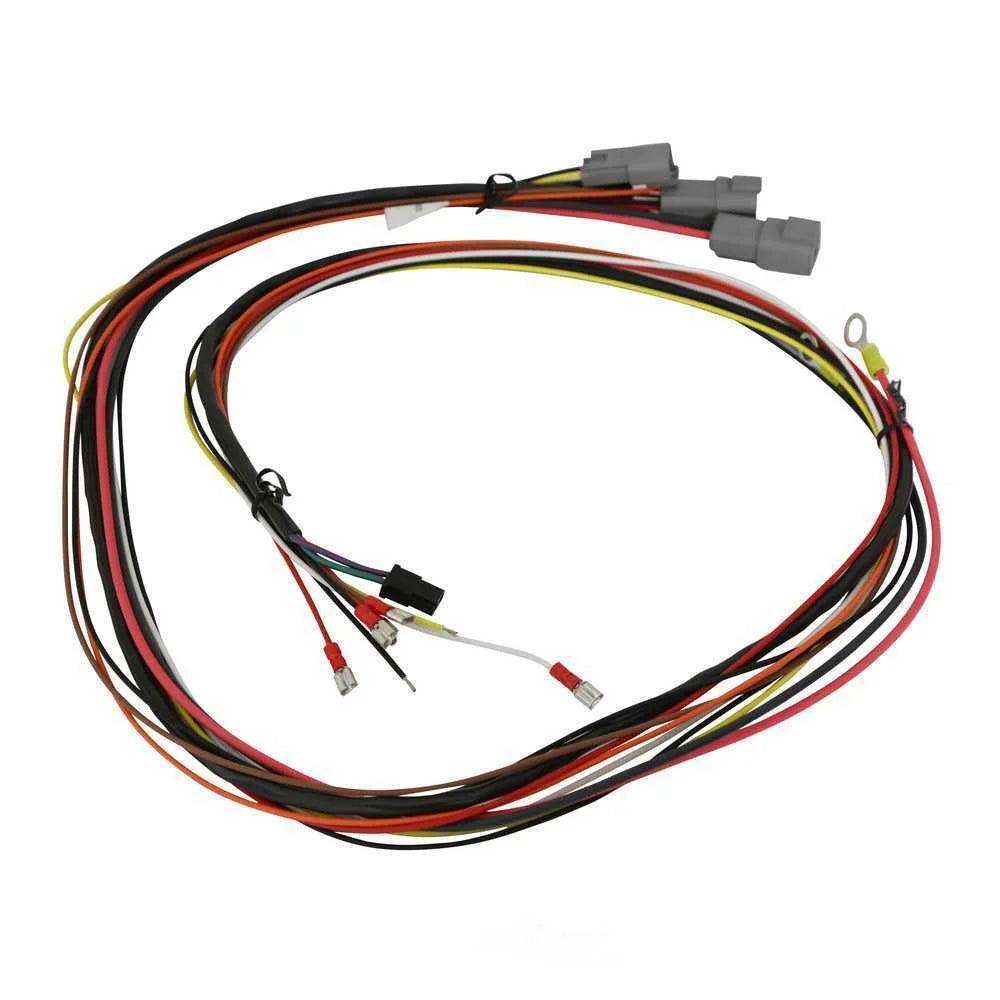 MSD use in Circle Track and Professional Racing, with Fast Rev Limiter 6631 - Additional View 6