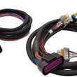 Load image into Gallery viewer, MSDReplacement Harness - MSD 6014 LS Control88014 - Side View