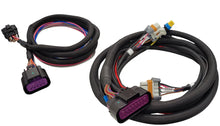 Load image into Gallery viewer, MSDReplacement Harness - MSD 6014 LS Control88014 - Side View