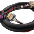 Load image into Gallery viewer, MSDReplacement Harness - MSD 6014 LS Control88014 - Back View